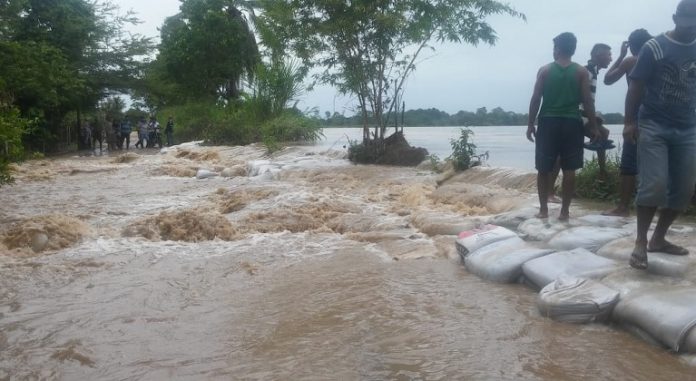 Autoridades regionales se mantienen en estado de alerta tras crecida del río Arauca y Apure