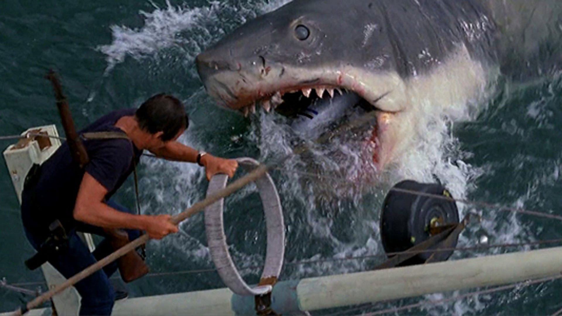 La verdadera historia de los ataques del tiburón que inspiró la mítica película de Steven Spielberg