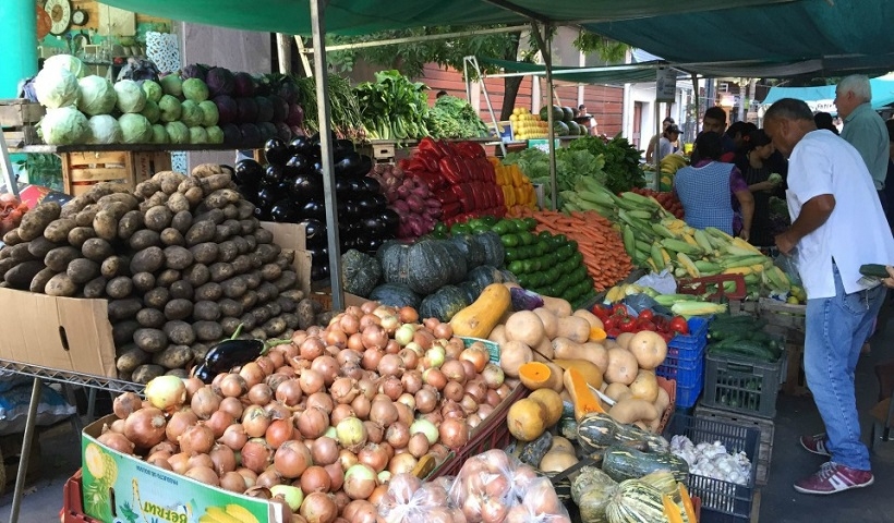 Productores de hortalizas deben comenzar a sacar sus costos y fijar precios mínimos de sustentación